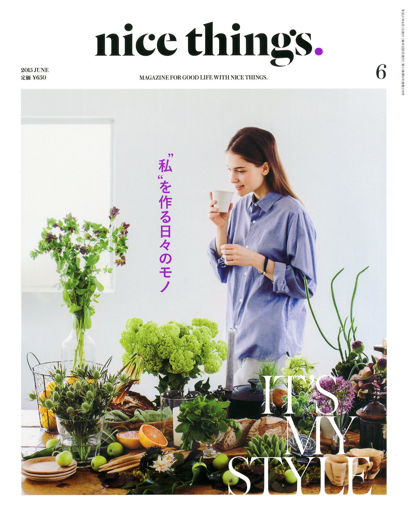 nice things. 2015年06月号 nice things. 2015年06月号